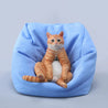 Cat with bean bag