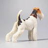 Fox Terrier