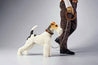 Fox Terrier