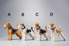 Fox Terrier