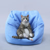 Cat with bean bag