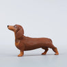 Dachshund