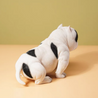 Bully Dog, 1/6 size