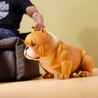 Bully Dog, 1/6 size