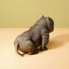 Bully Dog, 1/6 size