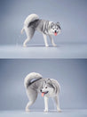 Husky Peeing