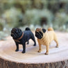 Pug Standing, 1/6 Size Resin Figurines