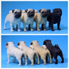 Pug Standing, 1/6 Size Resin Figurines