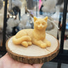 Cat Candle, small size, unscented